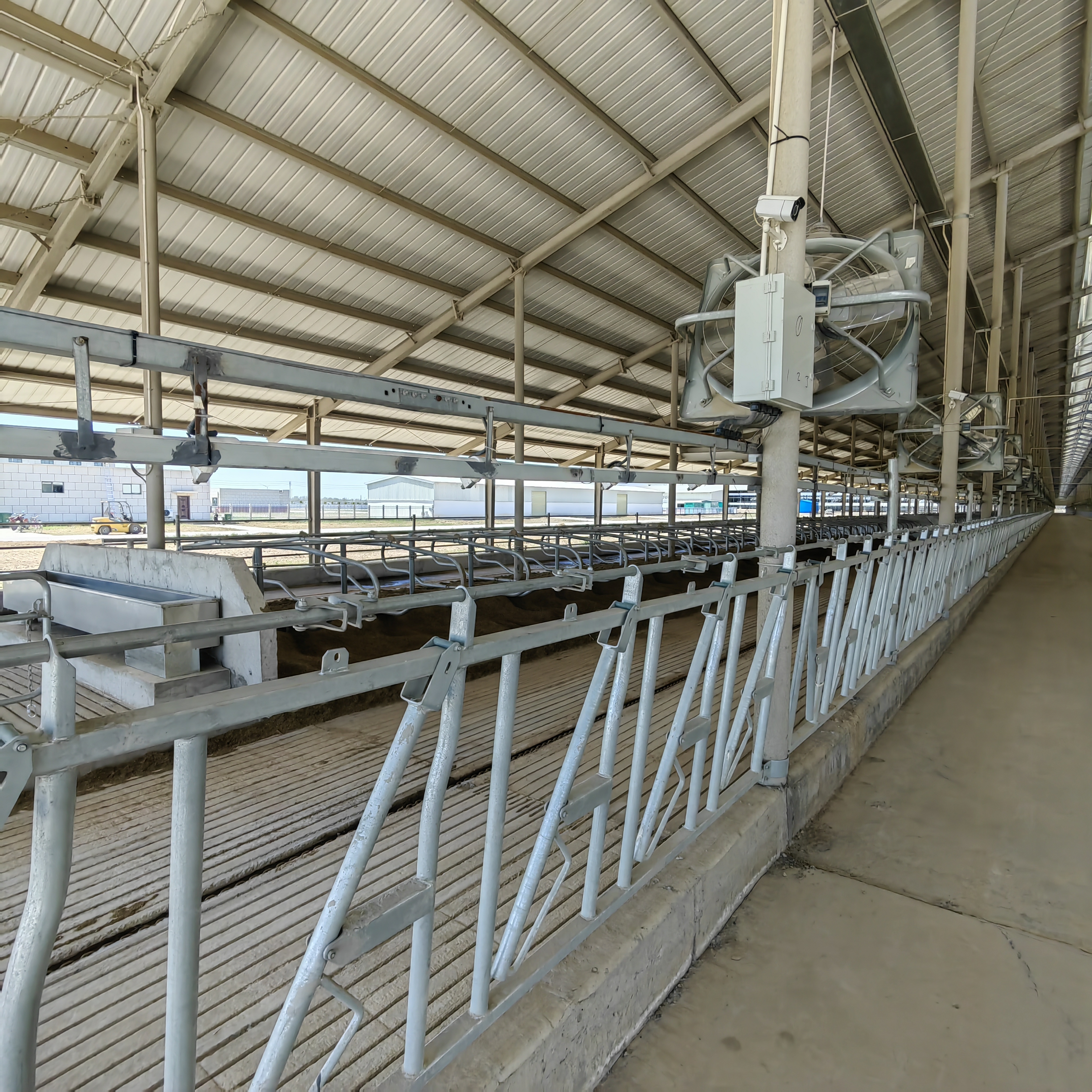 IMG_20250402_112331 (1).jpg