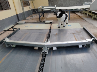 安徽王老板省時省力的養(yǎng)牛設(shè)備刮糞機