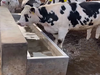 恒溫飲水槽使用年限久了，加熱效率明顯下降，從這些方面排查改進(jìn)